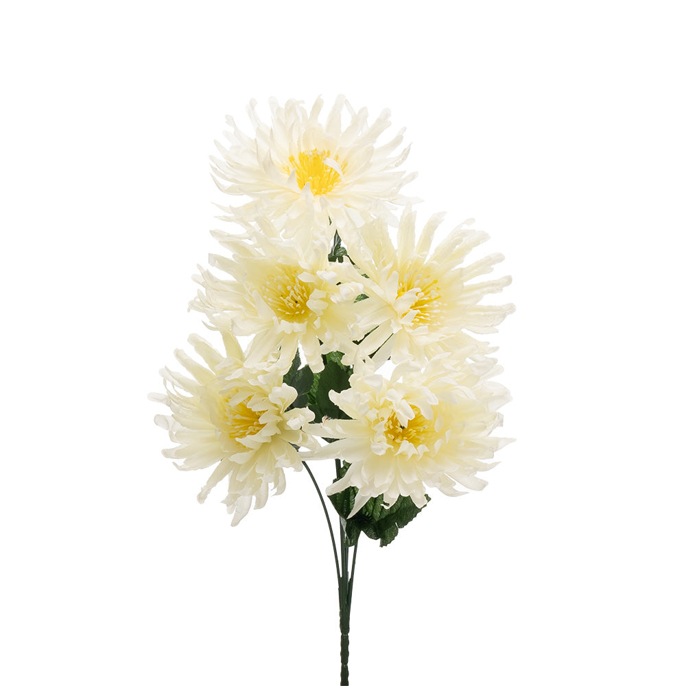 Chrysanthemum Bush Cream 35cm