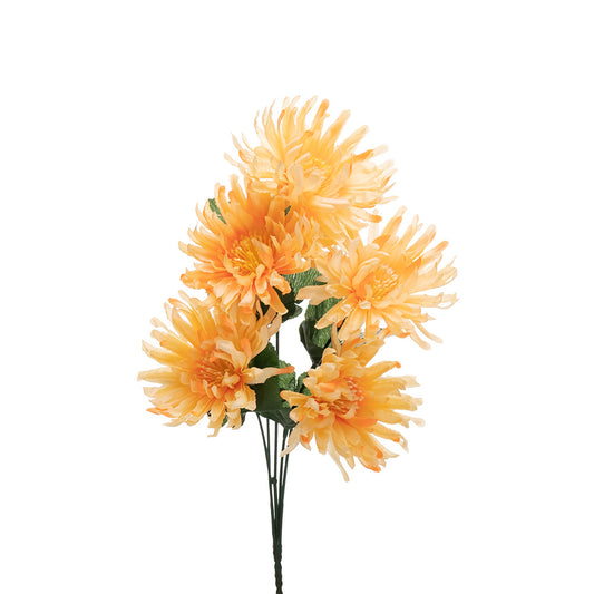 Chrysanthemum Bush Champagne 35cm