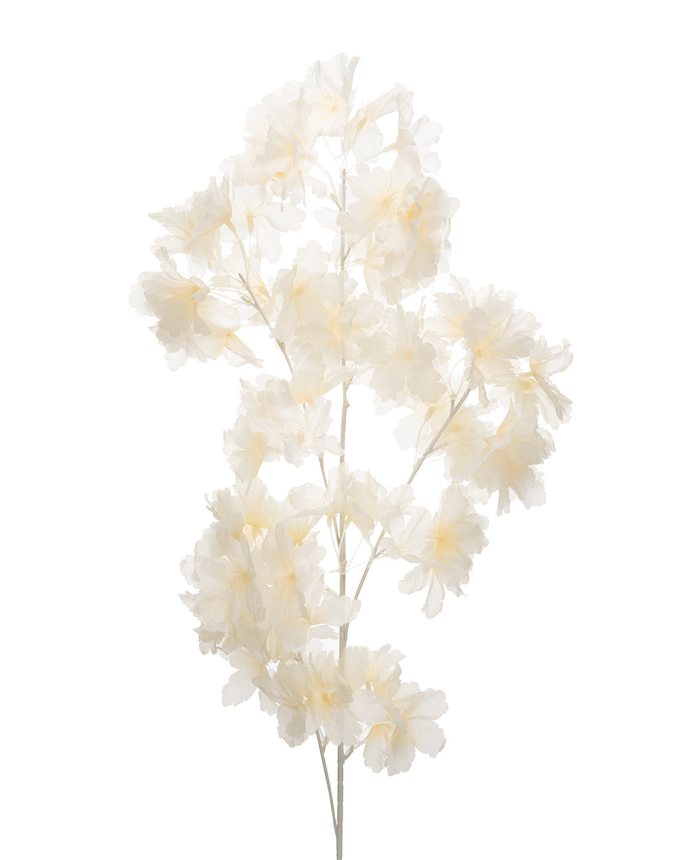 Coloured Cherry Blossom Champagne 87cm