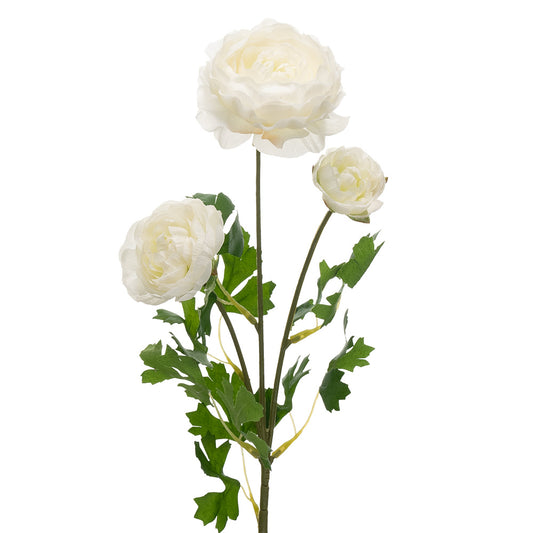 Ranunculus 3 Heads Cream 61cm