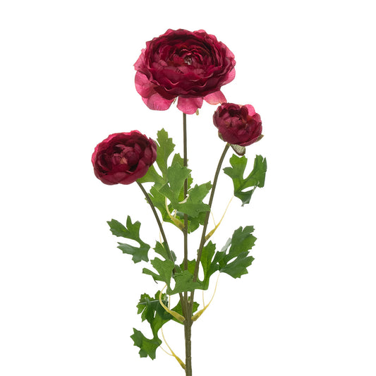 Ranunculus 3 Heads Pink 61cm