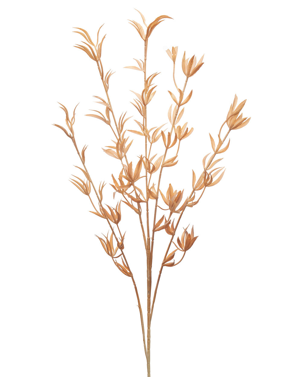 Dried Look Kangaroo Paw Light Brown 86cm