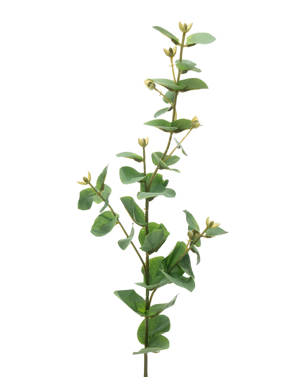 Eucalyptus Stem Green 70cm