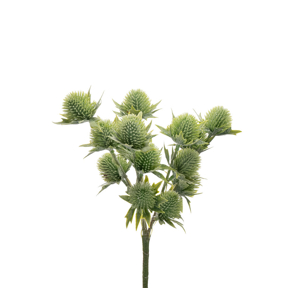 Thistle Bush Green 33cm