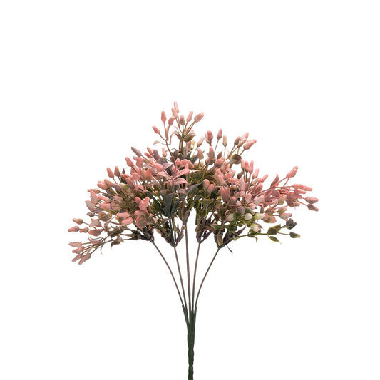 Seeded Nut Bush Pink 30cm