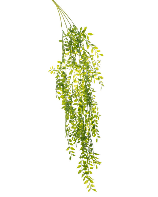 Hanging Ruscus Bush Green 90cm