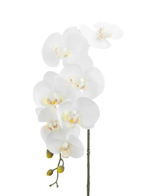 Real Touch Phalaenopsis Orchid 7 Heads White 90cm