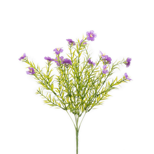 Mini Daisy Bush Purple 37cm