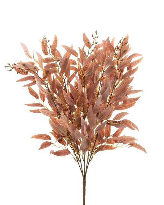 Ruscus Bush Rustic 50cm