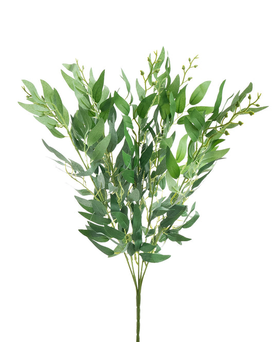 Ruscus Bush Green 50cm