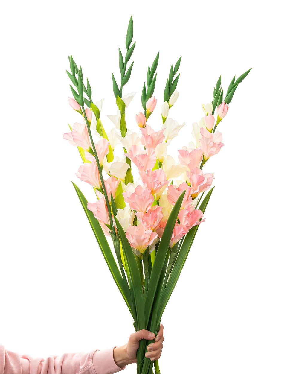 Gladiolus Stem 8 Heads Light Pink 91CM