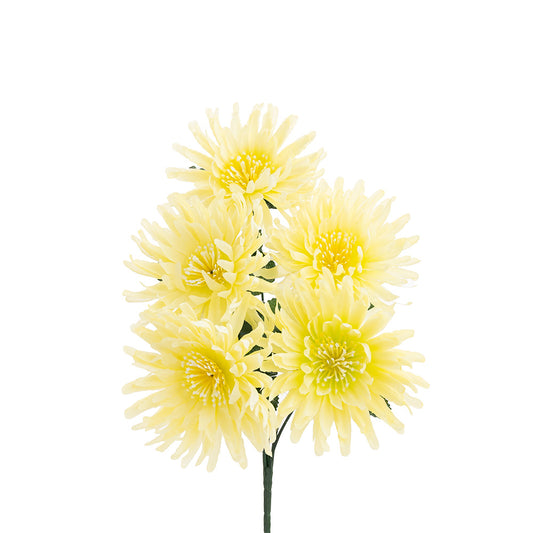 Chrysanthemum Bush Yellow 35cm