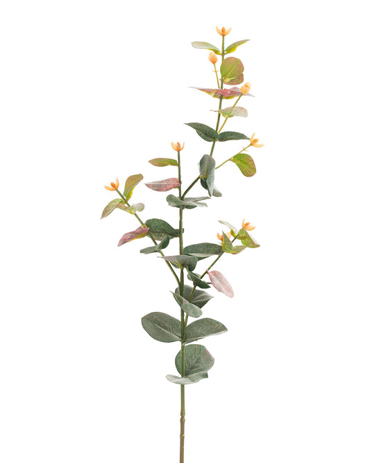 Eucalyptus Stem Green & Red 70cm