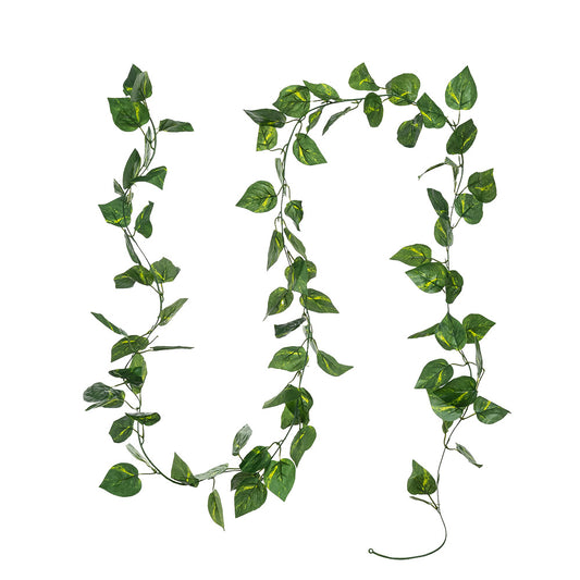 Pothos Garland Green 2.4m