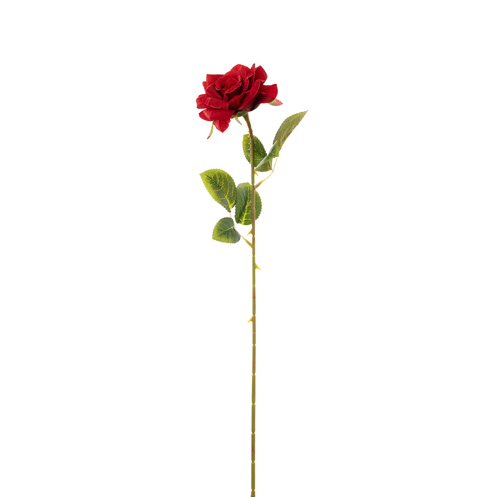 Single Stem Rose Red 50cm