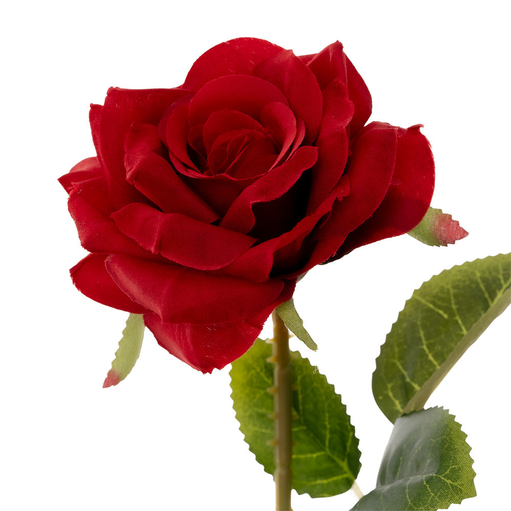 Single Stem Rose Red 50cm