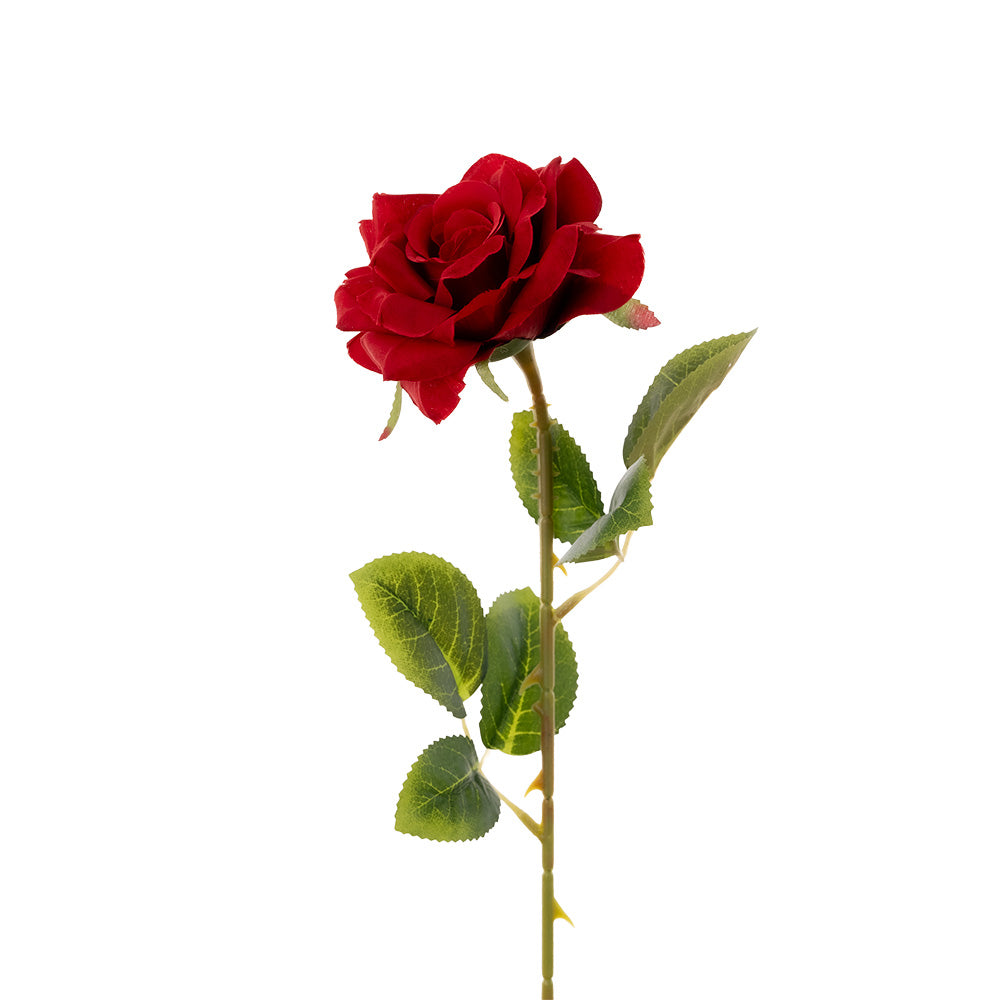 Single Stem Rose Red 50cm