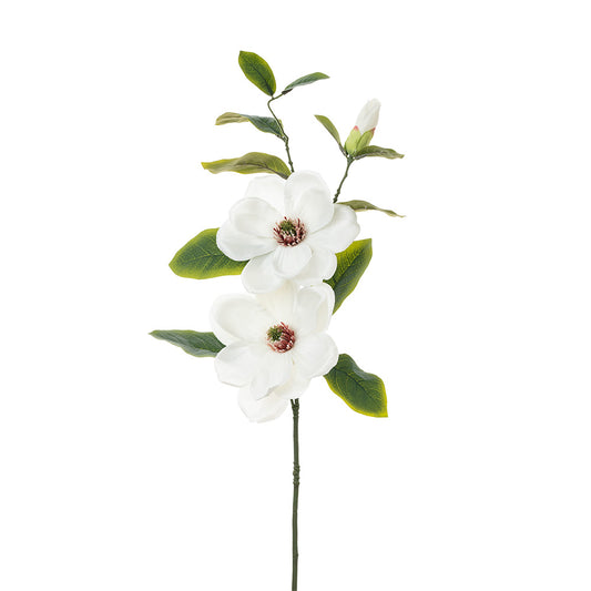 Magnolia Spray 2 Heads Cream 84cm