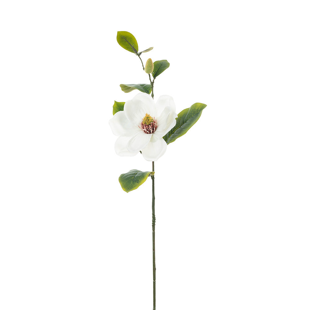 Magnolia Spray With Bud Cream 65cm