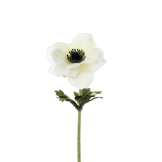 Anemone Stem Cream 53cm