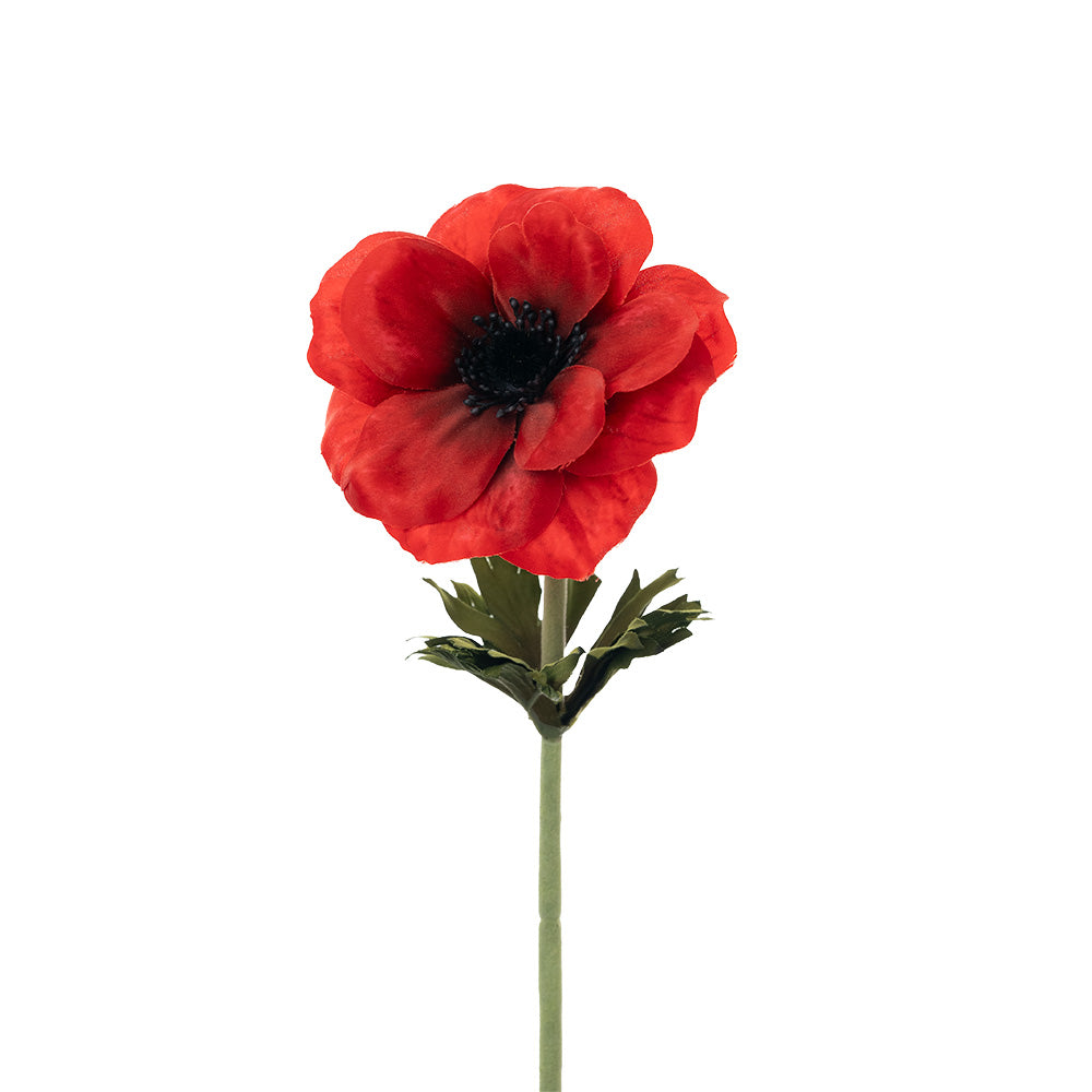 Anemone Stem Red 53cm