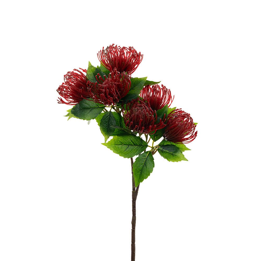 Pincushion Protea Spray Red 52cm