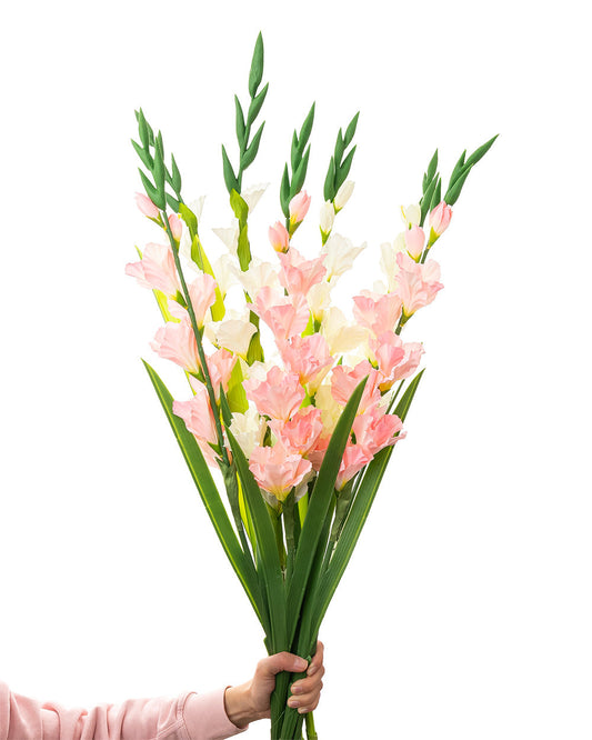 Gladiolus Stem 8 Heads Cream 91CM + Gladiolus Stem 8 Heads Light Pink 91CM + Gladiolus Stem Cream 118cm